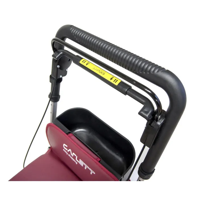 Carlett lett800