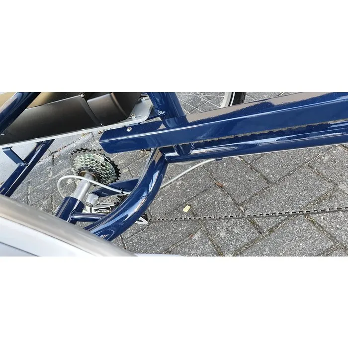 Tri-bike Y-Frame elektrische Driewielfiets