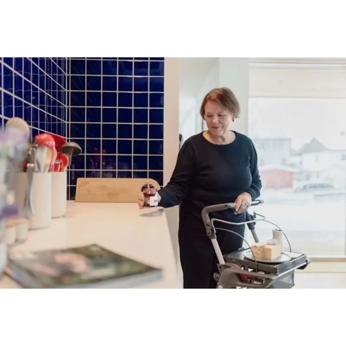 Topro Hestia Indoor Rollator