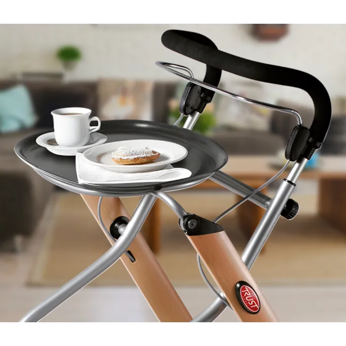 Trustcare Let's Go Indoor