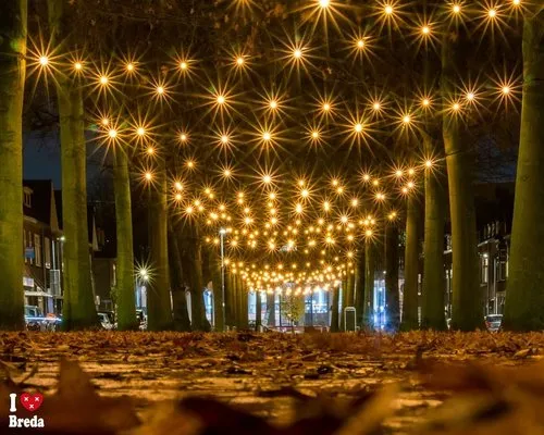 Belcrum viert - 8x 100 meter met 800 0,7W 2000K lampen