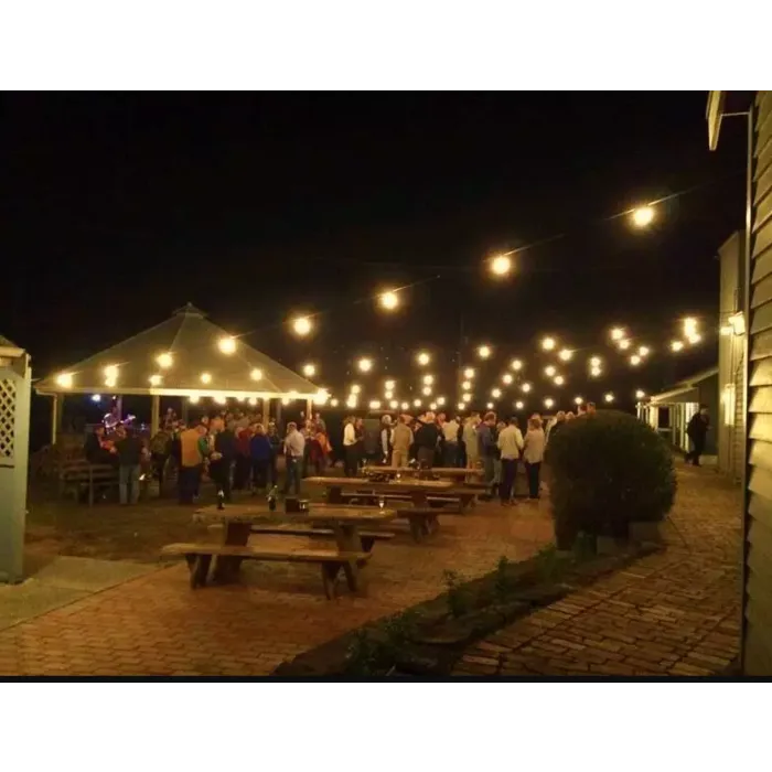 Amlux LED Filament kogellamp 1W - transparant - 2200K