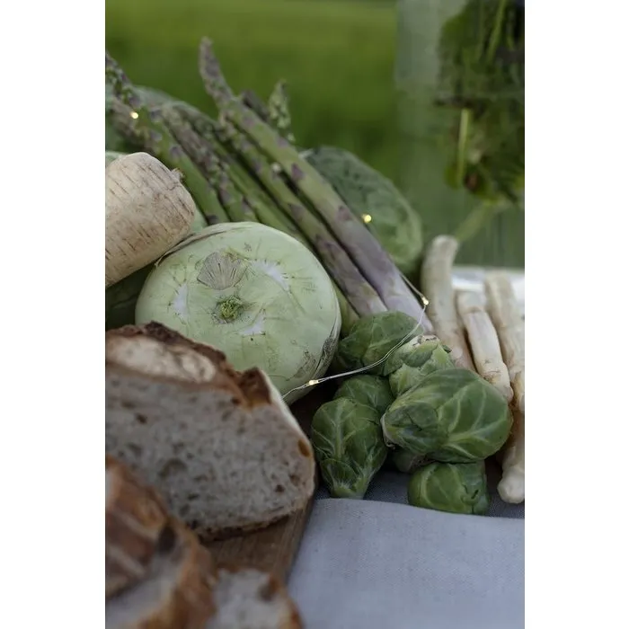 Konstsmide Konstsmide kerstverlichting - LED lichtsnoer met 100 kleine zeer warm witte lampjes voor buiten en binnen