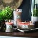 Woodwick Vanilla & Sea Salt medium kaars Woodwick Vanilla & Sea Salt medium kaars