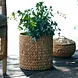 House Doctor manden set Roun natuur set van 3 House Doctor manden set Roun natuur set van 3