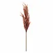 Lolaa Kunst Pampasgras roze 100cm Lolaa Kunst Pampasgras roze 100cm