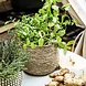 House Doctor mand Hang 18cm naturel House Doctor mand Hang 18cm naturel
