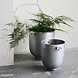 House Doctor Pot Foem Ruw aluminium 23cm House Doctor Pot Foem Ruw aluminium 23cm