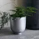 House Doctor Pot Foem Ruw aluminium 28cm House Doctor Pot Foem Ruw aluminium 28cm