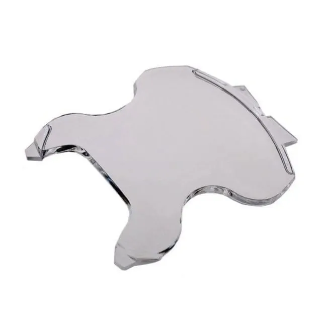 Suunto Protection d'écran pour Cobra2 et Cobra3