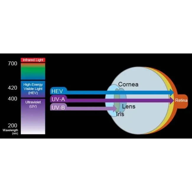 Tusa Paragon S M-1007S