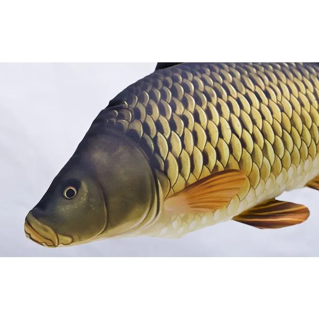 Gaby Fish Pillows Mini Common Carp