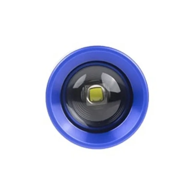 Anchor Dive Lights Mulroy Lucas Divestore