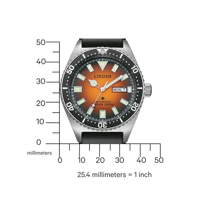 Citizen Promaster NY0120-01ZE Marine