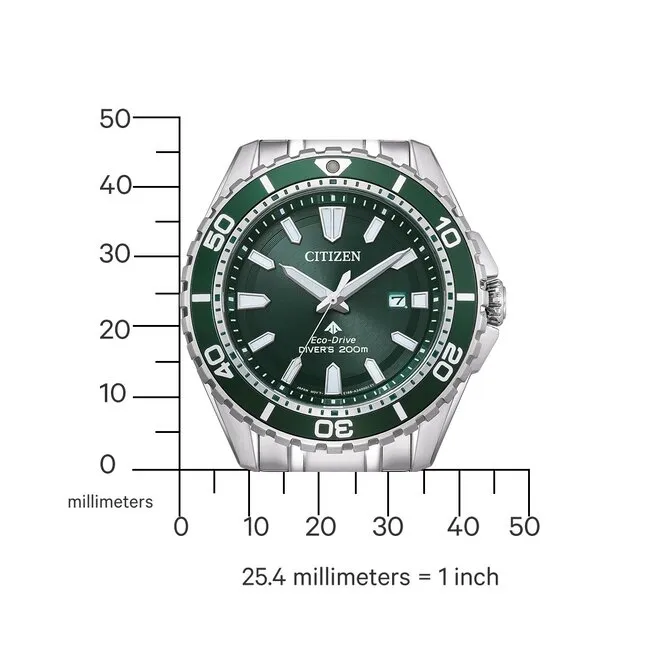 Citizen Promaster BN0199-53X