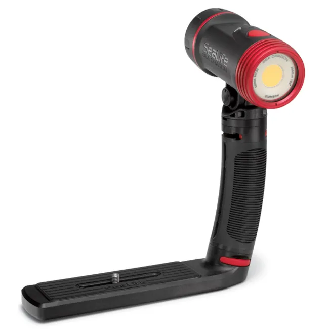 Oceanic + Dive Housing avec Sealife 2500 Photo-Video Light SL671