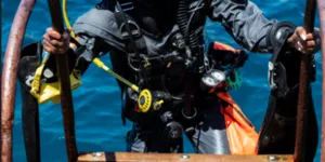 The Avatar collection: light, durable and affordable diving fun