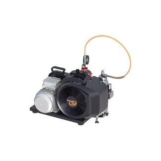 Bauer Compressors Poseidon Pe100 TW Motor Eléctrico Bauer Compressors Poseidon Pe100 TW Motor Eléctrico