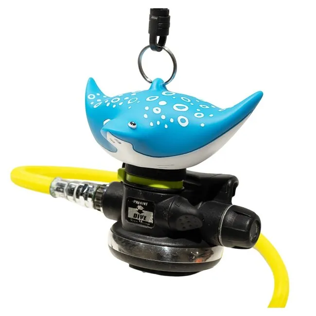 Best Divers Oceanarium Porta Octopus