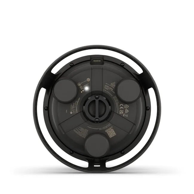 Garmin Boya Descent S1