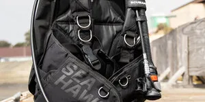 De beste BCD's (Trimvesten)