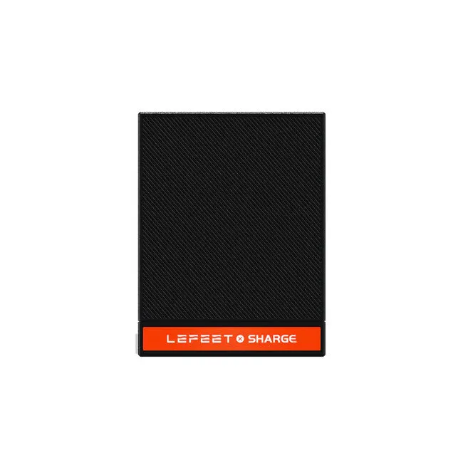Lefeet P1 / P1 XR / P1 Lite Cargador USB-C de 100 W