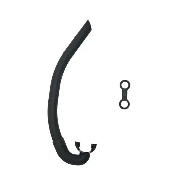 Agulhas Cepedianus Snorkel