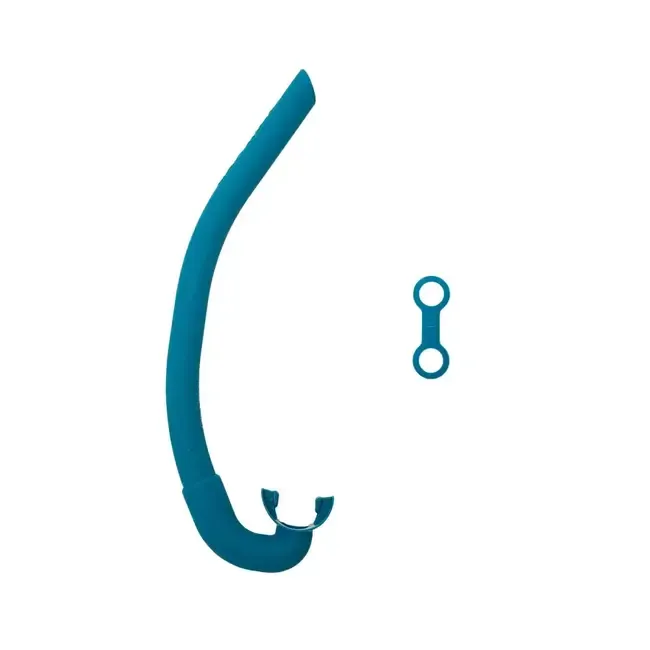 Agulhas Cepedianus Snorkel