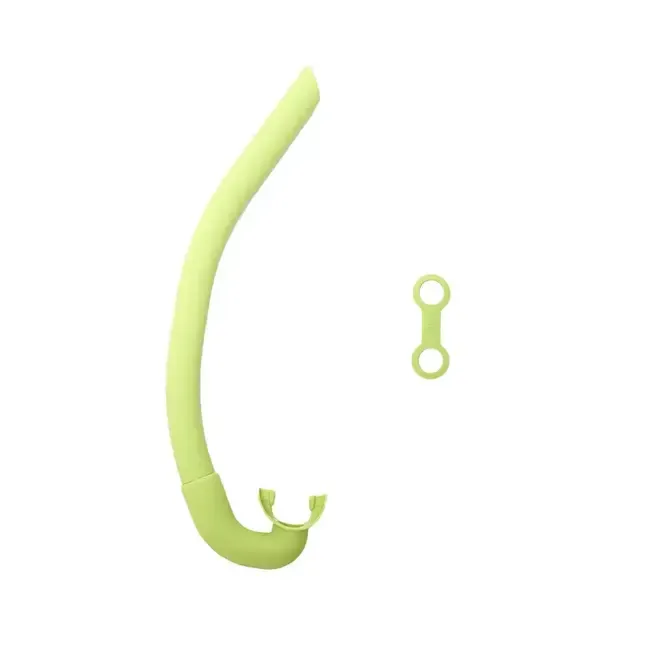 Agulhas Cepedianus Snorkel