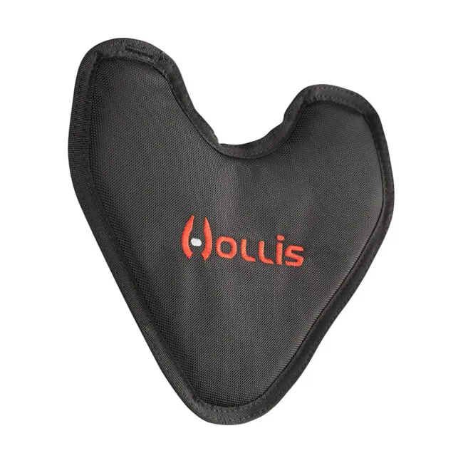 Hollis Back Plate Back Pad 2.0