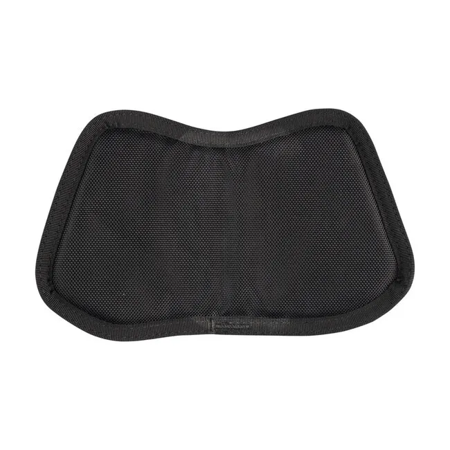 Hollis Back Plate Back Pad 2.0
