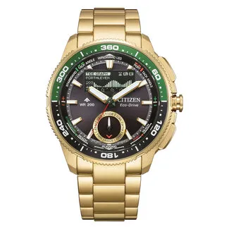 Citizen Wave Tracker JV3002-51E