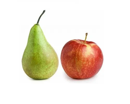 Waar moet ik op letten bij het kopen van een beamer/projectiescherm?