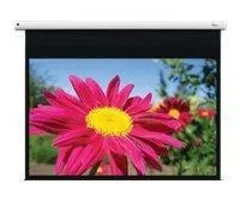 Optoma  Optoma DE-1123EGA 266 cm x 166 cm