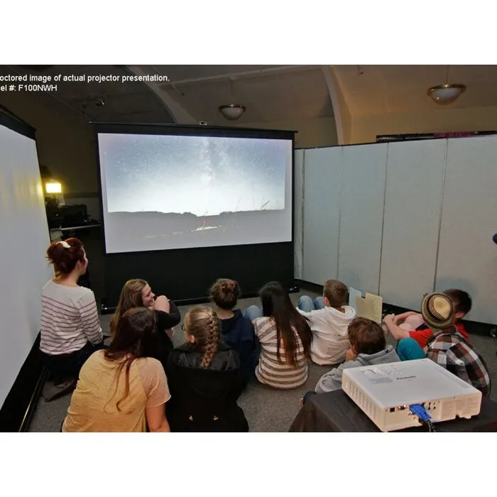 Elite Screens Elite Screens ezCinema 120 inch Mobiel Projectiescherm 16:9 (266 x 149 cm) – MaxWhite Doek, Koffer Model, Telescopisch Systeem (Model F120NWH)