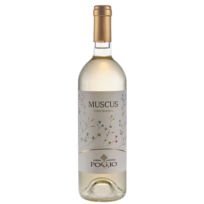 'Muscus' Dry Moscato d'Asti DOC