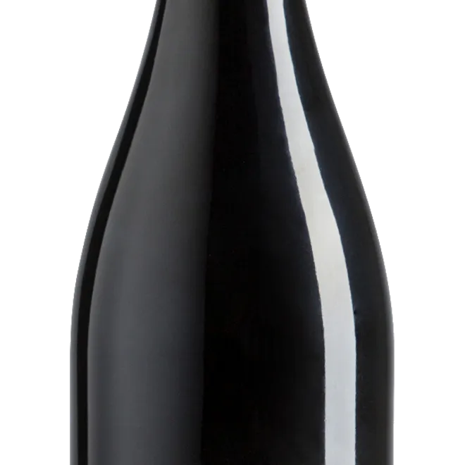 Barbera d’Asti DOCG  2023