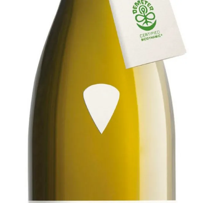 Elementi Trebbiano d'Abruzzo 2024