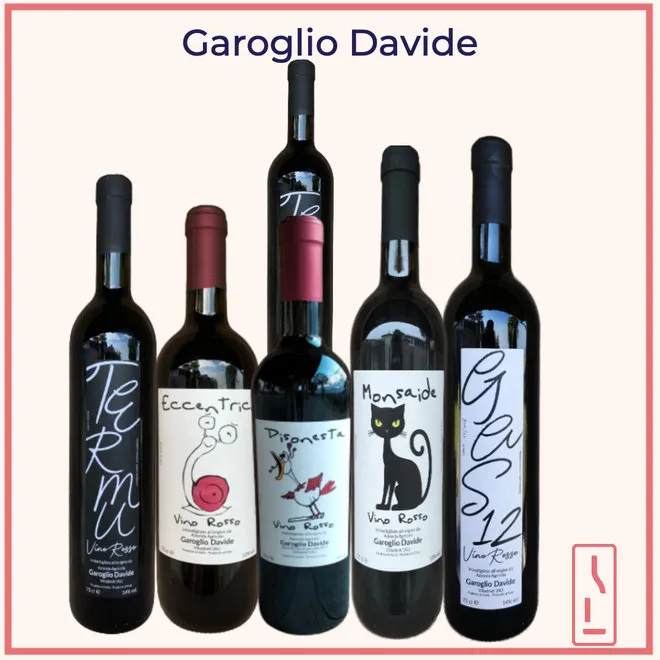 Garoglio Davide Tasting Case