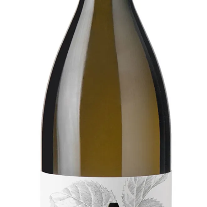 'Grey' Pinot Grigio DOP Friuli Isonzo