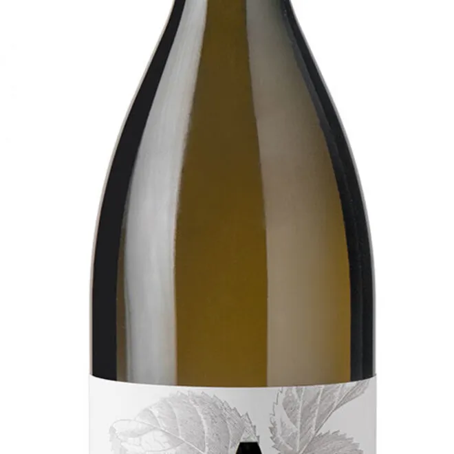 Sauvignon Blanc DOP Friuli Isonzo