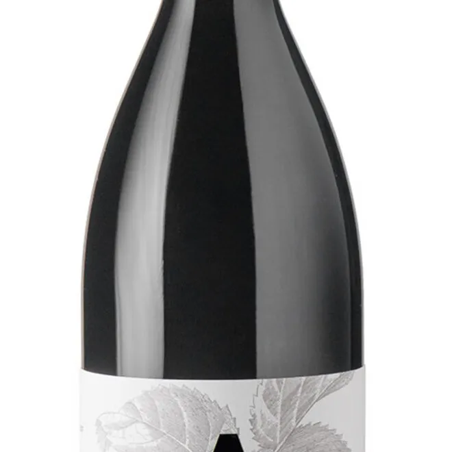 Cabernet Sauvignon DOP Friuli Isonzo