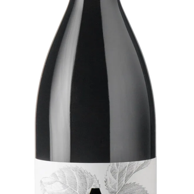 Cabernet Franc DOP Friuli Isonzo