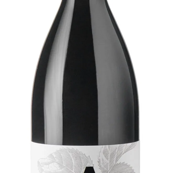 Merlot DOP Friuli Isonzo
