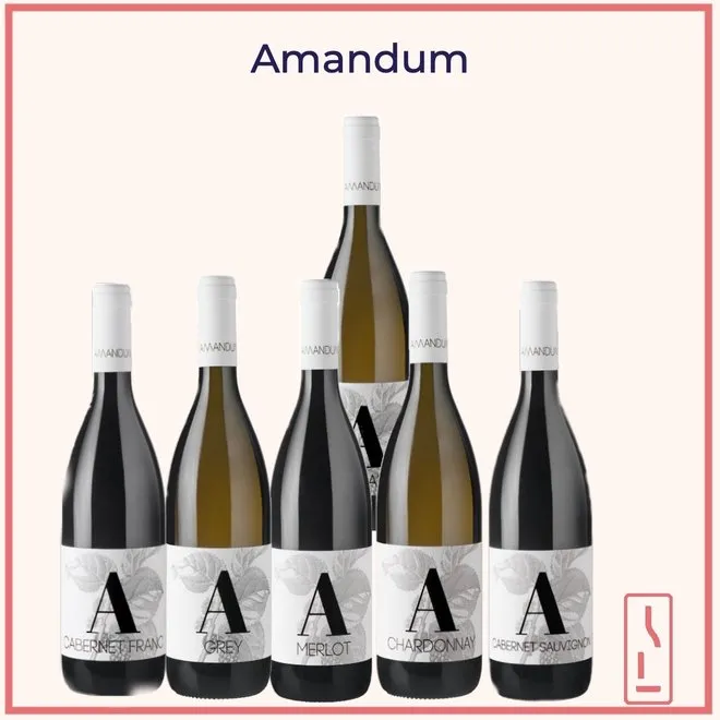 Amandum Tasting Case