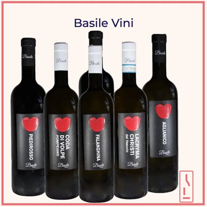Basile Vini Tasting Case
