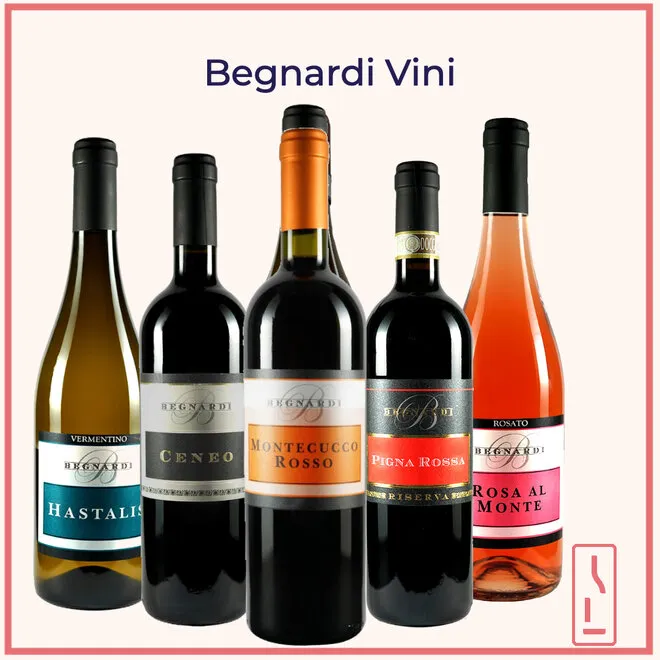 Begnardi Tasting Case (Tuscany)