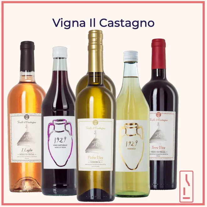 Vigna Il Castagnoo Probierpaket (Apulien)