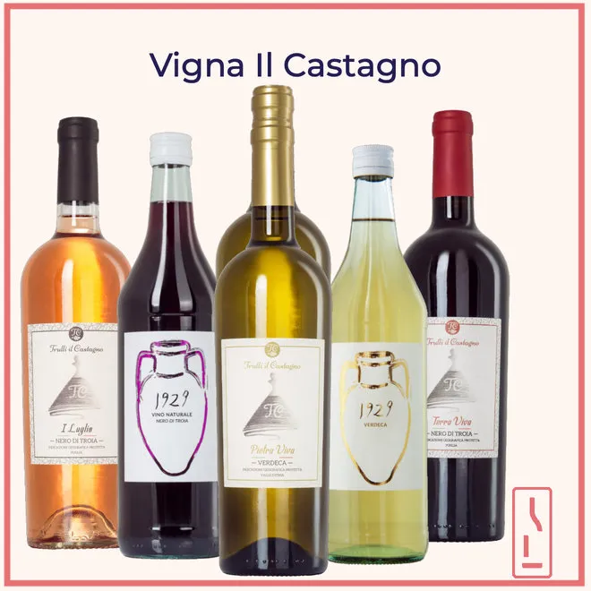 Vigna Il Castagnoo Probierpaket