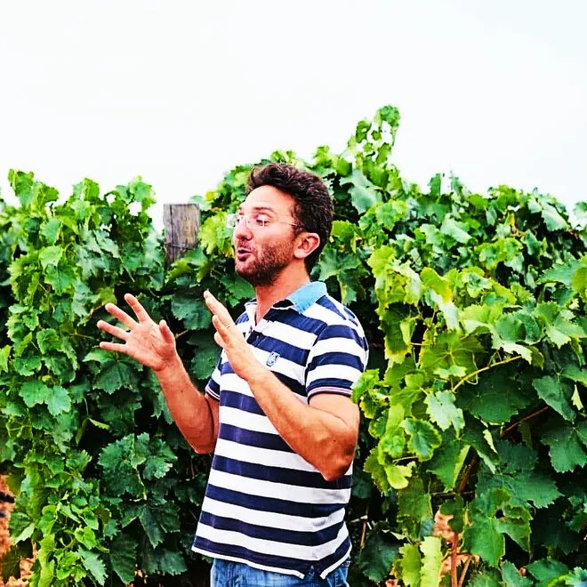 Vigna Il Castagno Tasting Case (Puglia)